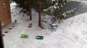 утро доброе