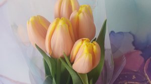 у меня в гостях