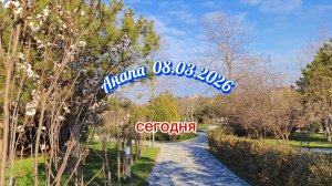 Анапа 08.03.2026 Сегодня