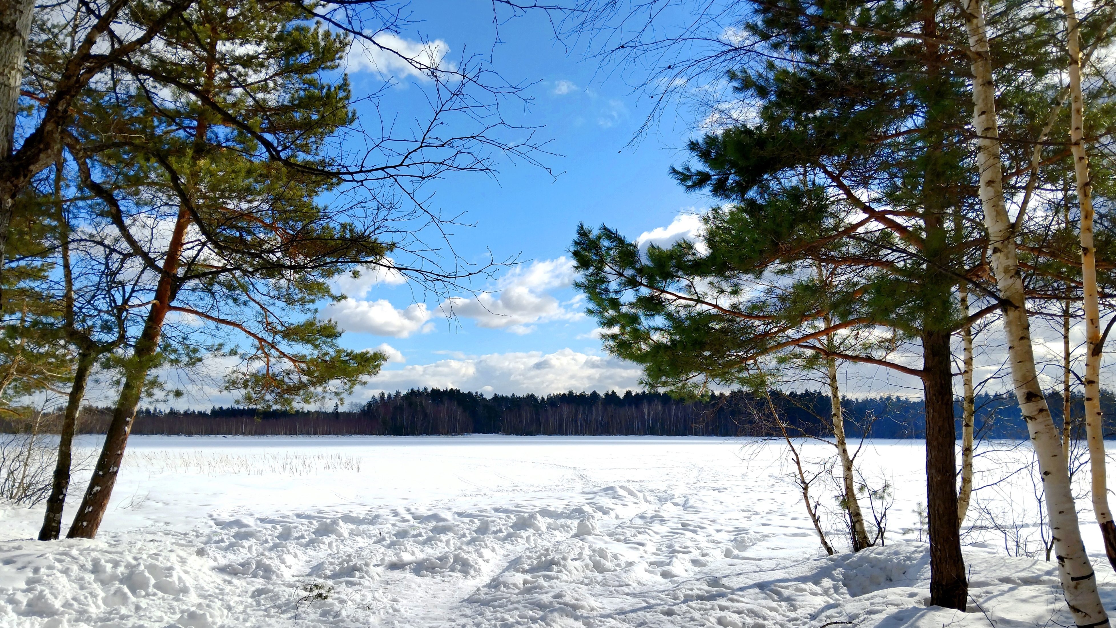 ЛАСКОВСКОЕ ОЗЕРО