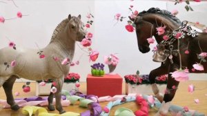Обзор на нового коня 🐎/ девочки всех с восьмым марта 💐