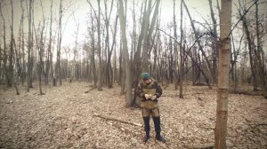 Лесопарк - зона отдыха