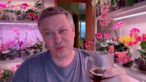 Жизнь вне орхидей- не стал РАССТРАИВАТЬ соседа в доме на Юге, а всё, что ПЛАНИРОВАЛ - сделал