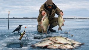 ВЕРНУЛСЯ НА  ОЧЕНЬ РЫБНУЮ РЕЧКУ! А ТУТ ЛЕЩИ ПРУТ И КРУПНАЯ ГУСТЕРА!