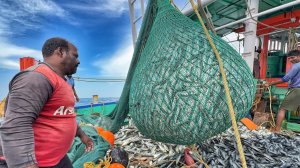 Поймали монстра! Самый большой улов, который мы когда-либо видели!!  Рыбалка с тралом