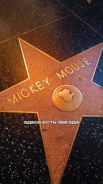 🍿 50,000$ ЗА ЗВЕЗДУ!