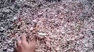 Азовское море. Часть 2.