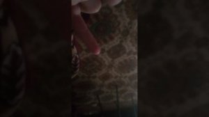 хочу разбудить Микки чтобы она быстрее проснулась видео  познавайка с Микки