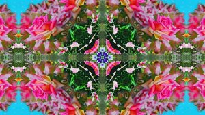 С 8 Марта!!! Праздничное поздравление Эти Розы для тебя 6 от Киностудии МКТ!!!