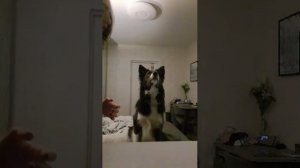 🌷🎀БЕСЕМСЯ С СЕСТРОЙ + СОБАКА ЧЕК В potato bed. Что тут можно делать?  🎀🌷