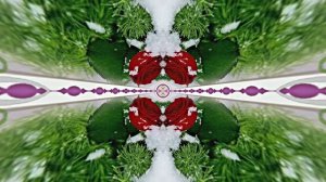 Поздравление С 8 Марта 4 от Киностудии Мудрого Кота Тимофея!