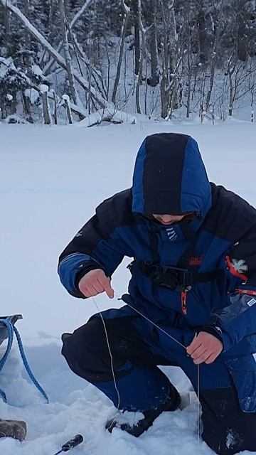 Щука на жерлицу! Февраль 2026! Рыбалка самоловками на озере!