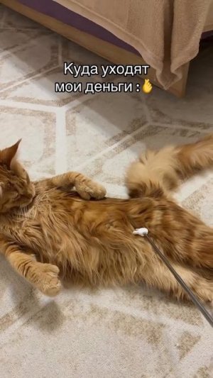 Куда уходят деньги