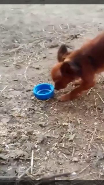 Охрана наводит порядок