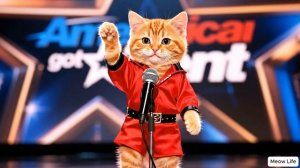 Волшебные семечки Мамы Кэт и Рыжего котенка 🌱 Превращаются в гигантский тыквенный сюрприз 🎃 Видео