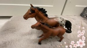 Обзор на новых лошадей🎶