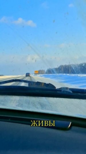 Вот это сугробы в конце февраля .