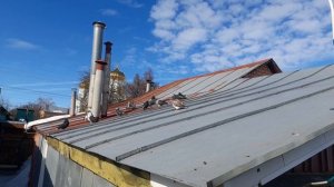 Николаевские голуби 08.03.26 г