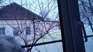 8.03.26. Март" закручивает гайки".Что натворила Маша?! Метель.