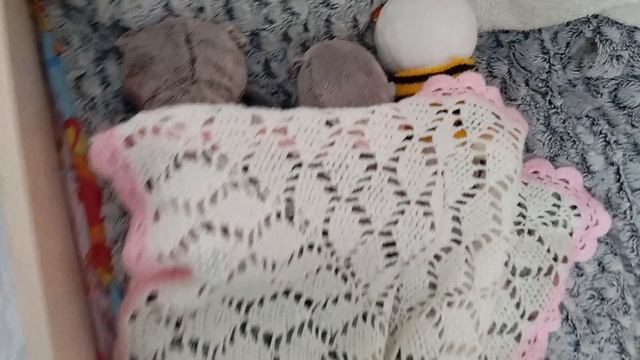 обычный день с басиками пополнениеБася вернулся