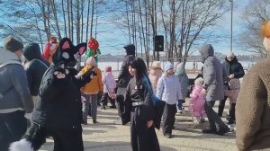 Интерактивное шоу в парке Дельфин Воронеж сегодня 8 марта 2026, развлечения для детей парк Дельфин