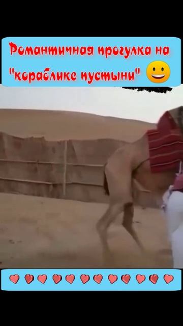 Юмор 5 звезд - #юмор #смешно #ржач #прикол #анекдот #веселоевидео