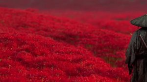 TAO – Japanese Ambient Music on the Path of the Samurai (道)