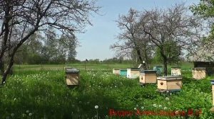 Нева с косилкой КР 05.