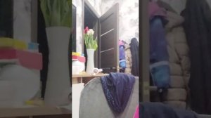 орбизы часть первая