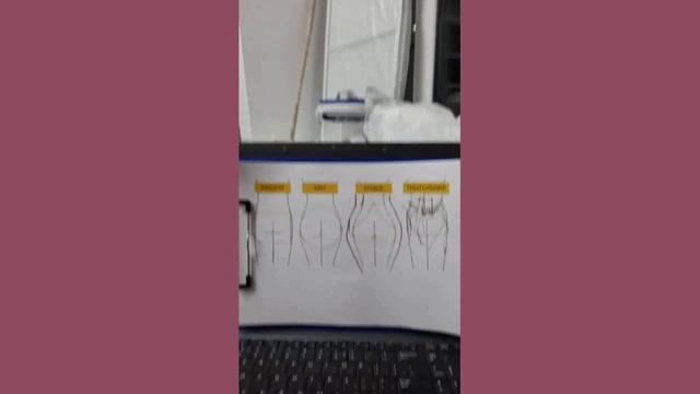 14. смотреть онлайн