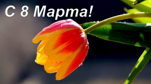 🌷 ОЧЕНЬ КРАСИВАЯ МУЗЫКА ДЛЯ ДУШИ И ВОССТАНОВЛЕНИЯ НЕРВНОЙ СИСТЕМЫ 🎵 РАССЛАБЛЯЮЩАЯ МУЗЫКА 8 МАРТА