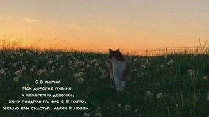 С 8 марта. | Простите, что видео выходят с довольно большими промежутками. (