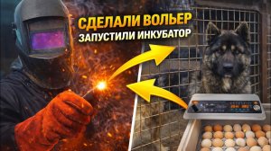 #48 НАКОНЕЦ-ТО ЗАКОНЧИЛИ ВОЛЬЕР И ЗАПУСТИЛИ ИНКУБАТОР