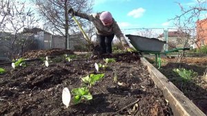 Влог от 03.05.2022