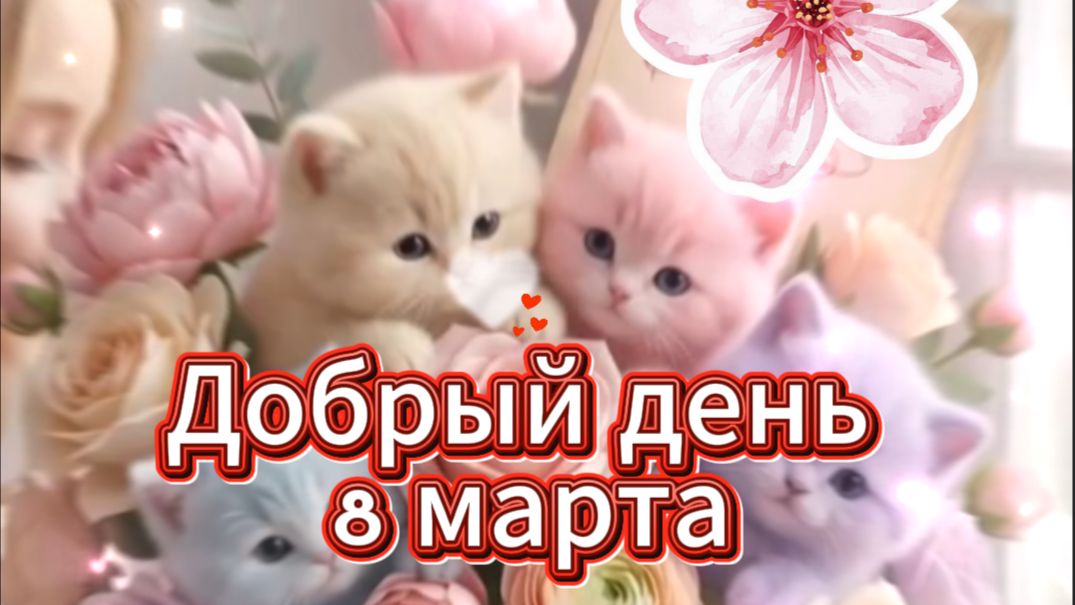 Добрый день 8 марта пусть всё самое лучшее случится 🌸✨