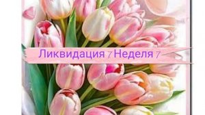 СП "Ликвидация 7". Неделя 7. Участник 9