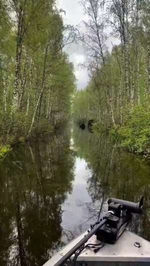 Клип @zatropheem