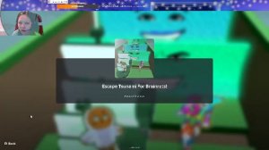 играю в ROBLOX