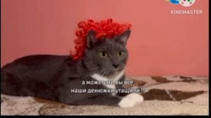 Анонс Kotiynet (Карусель Старый Варя, 13.06.2024)