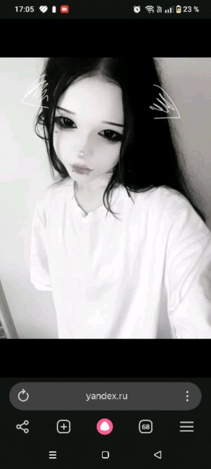 мой день лаплалппбпдпдллл