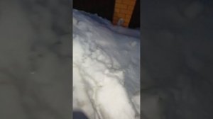 ВЛОГ 1 ВИДЕО)