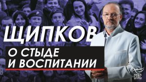 О стыде и воспитании. Щипков №382