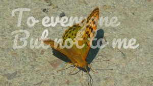 To everyone but not to me