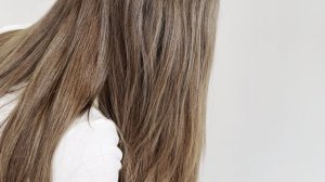 Височные биоленты (одна сторона)