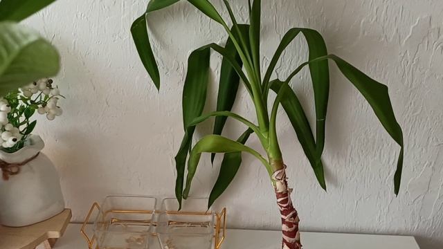 ПОКУПКИ ФИКС ПРАЙС 🛍 ОДЕЖДА ОЗОН 🛍 ОЖИДАНИЯ & РЕАЛЬНОСТЬ