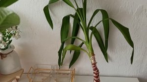 ПОКУПКИ ФИКС ПРАЙС 🛍 ОДЕЖДА ОЗОН 🛍 ОЖИДАНИЯ & РЕАЛЬНОСТЬ