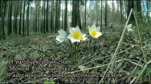 Вот и прошла зима. Поздравление с 8 Марта