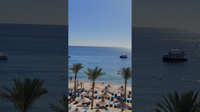 Египет отель Island View Resort 5 январь 2026 .mp4