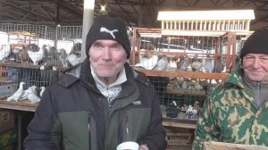 Ярмарка голубей Бронницы  7 марта 2026 года фильм 1