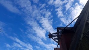 Николаевские голуби на крыше